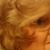 Faye Paulette Bishop's profile image