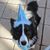 Carla Vignolo Power's profile image