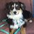 Terri Haake's profile image