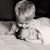Lori Alphin Blackwood's profile image