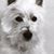 Vicki Oleksinski's profile image