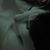 Nannette Herroon Dasher's profile image