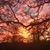 Janine Ricci's profile image