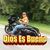 Javier Ramos Del Valle's profile image