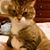 Paula Lane's profile image