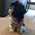 Annen Ruth Weber's profile image