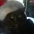 Carol Farmer Andrews's profile image
