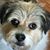 Marti Arndt's profile image