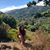 Yana Karezin's profile image