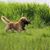 Suzanne Bolwell's profile image