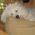 Buddy Glenn Chewning's profile image