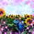 Debbie Himes Zerr's profile image