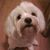 John Trieu's profile image