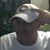 Bill Clark's profile image