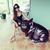 Melissa Marie's profile image