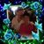Joanne Selman's profile image