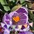 Janie Doig Waymire's profile image