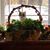 Lynn Hertlein's profile image