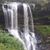 Amy Creager-Higgins's profile image