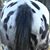 JuJu Kelly's profile image