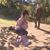 Patricia Landin's profile image