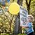Lori Soud Morton's profile image
