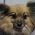 Leigh Murphy's profile image