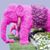 Carlos Monroy's profile image