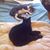 Jill Lochren's profile image