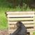 Cammie Ettinger-Bowes's profile image