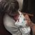 Michelle Vander Bie DeLange's profile image