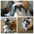 CarolandBud Bargy's profile image