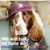 Suzanne Huston's profile image