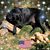 Bonnie Tucker-Vann's profile image