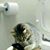 Pamela Craft's profile image