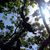 Racciato Gregory A's profile image
