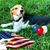David Gramza's profile image