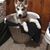 Lila Slatzer's profile image