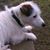 Trish Kersey's profile image