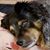Sherry Nadeau's profile image