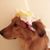 Rob Poston's profile image