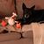 Greg von Buchau's profile image