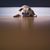 Gary D. Guiles Sr.'s profile image