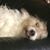 Linda Atkin McCulloch's profile image