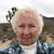 Shirley Ellis's profile image