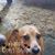 Sharon Elliott's profile image