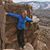 Holly Isaacson Holmes's profile image