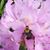 Pat McClure Moran's profile image