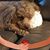 Kathy Morris-Hyjek's profile image