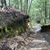Kathy Estes Nunnery's profile image